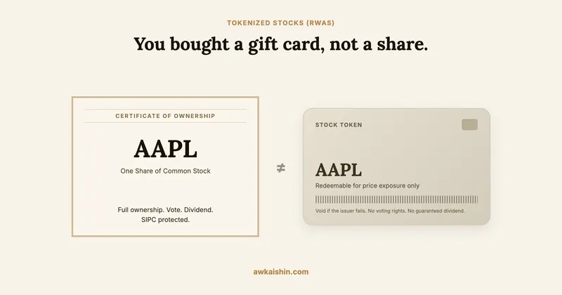 A share certificate with voting rights and dividends next to a tokenized stock shown as a gift card that is only redeemable for price exposure.